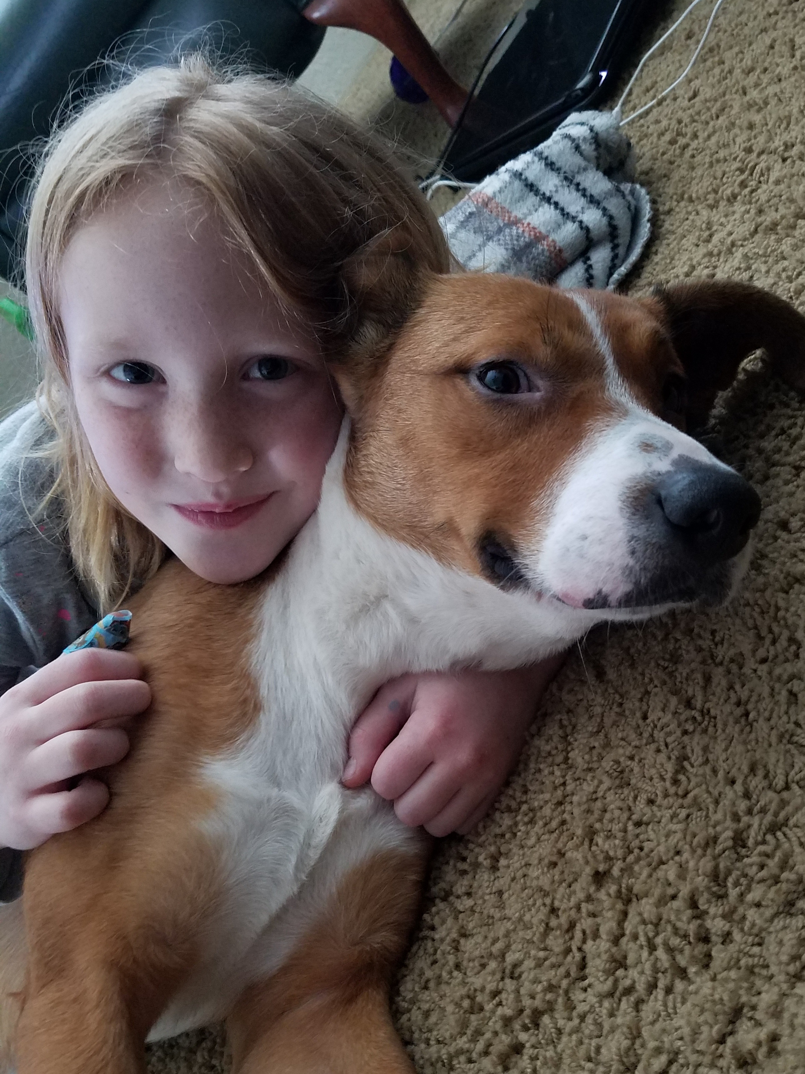 doggie cuddles