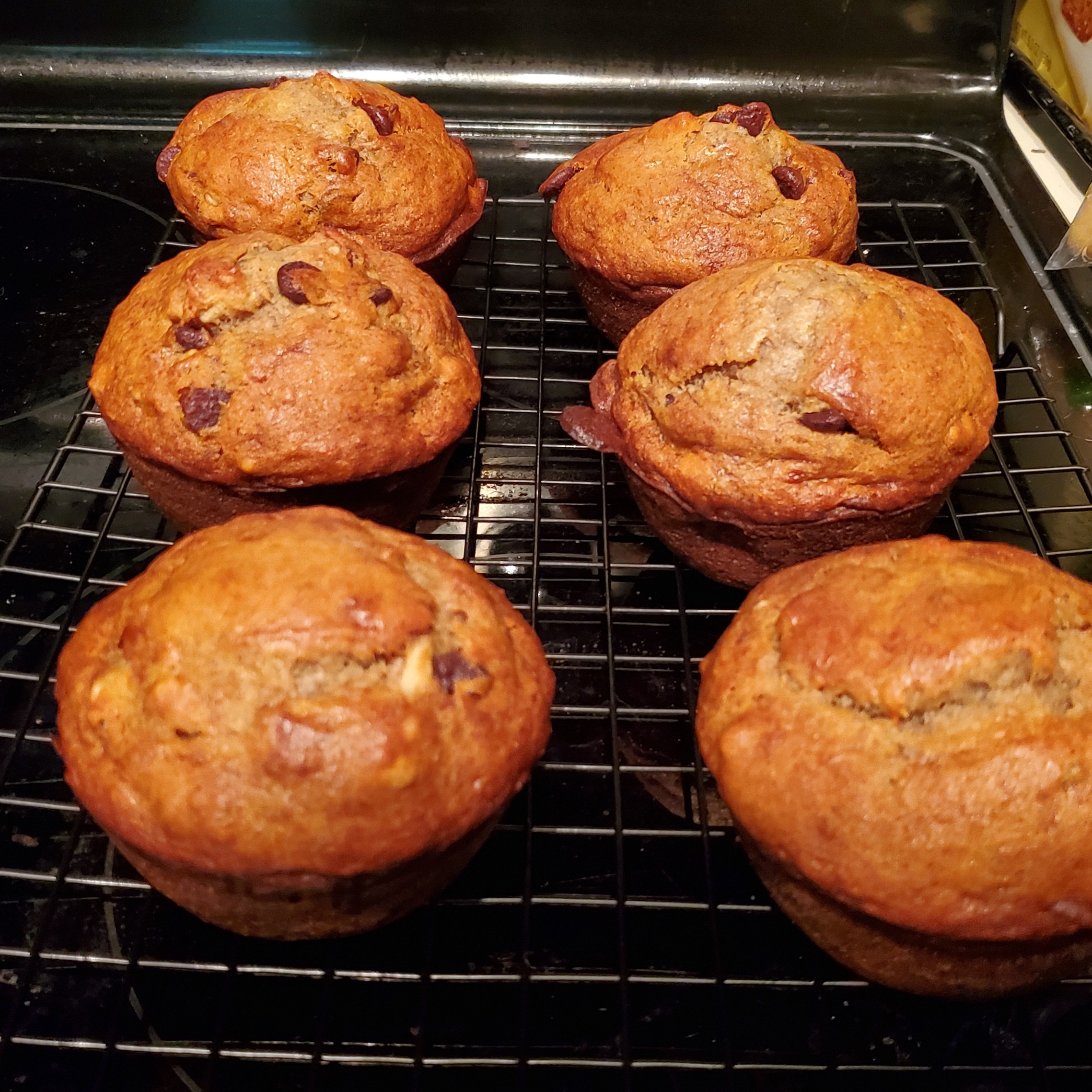 fresh_homemade_muffins